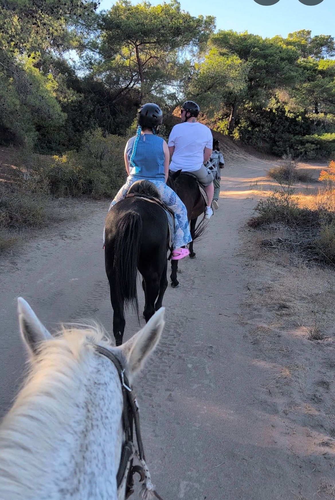 Safari Tour Details
