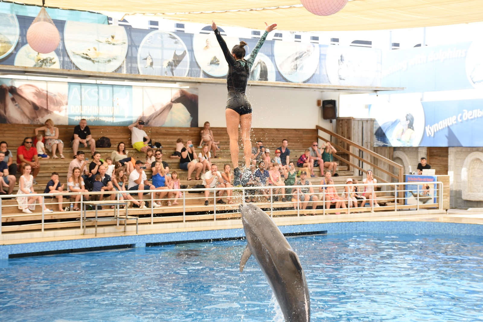 The Most Fascinating Marine World of Antalya