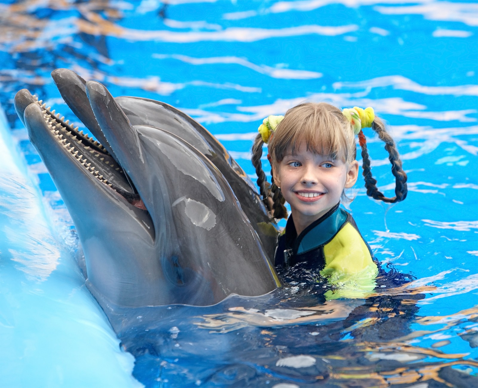 Why Visit Antalya Dolphinarium? 