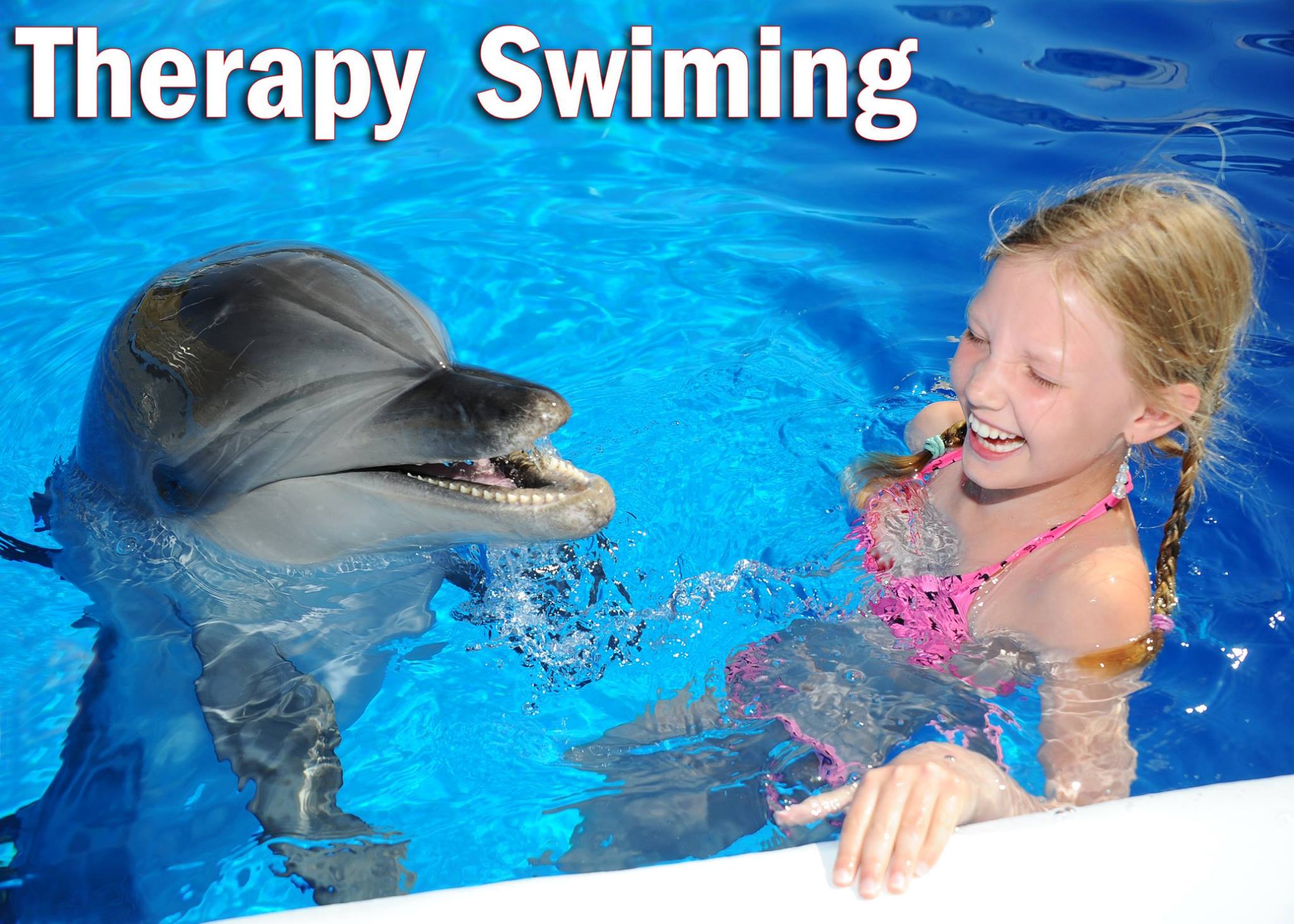 Dolphin Therapy – A Healing Experience