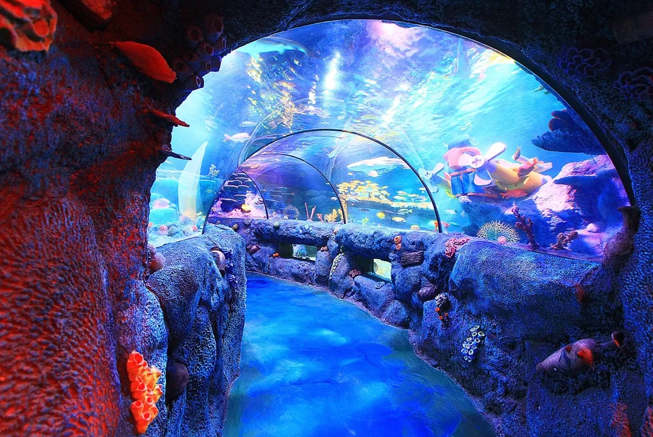 One of the Largest Tunnel Aquariums in the World
